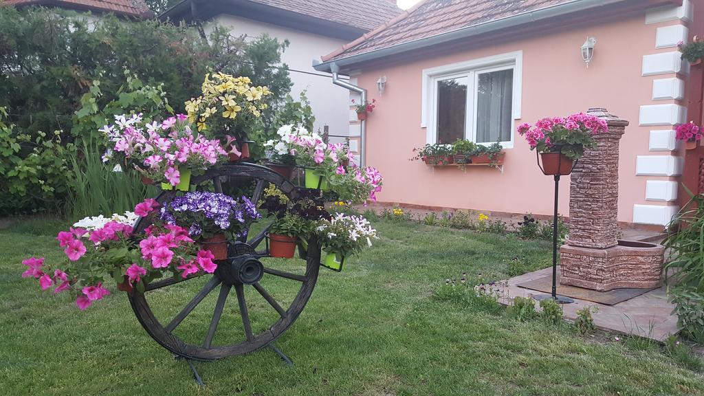 Villa Sunset Palić Exterior foto